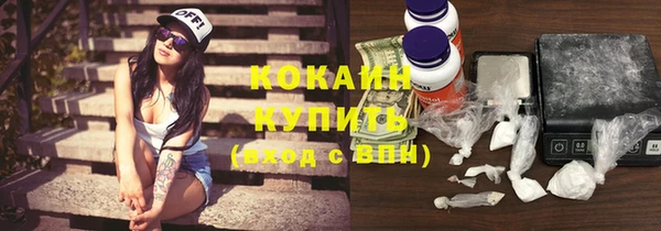 твердый Алексин