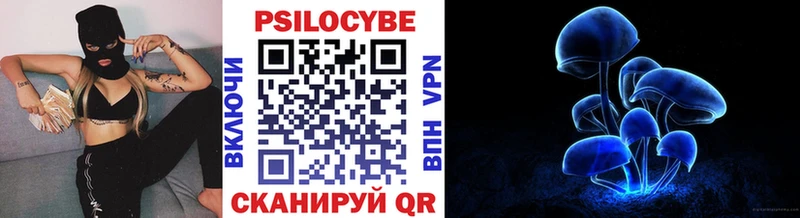 Псилоцибиновые грибы прущие грибы  blacksprut маркетплейс  Среднеколымск 